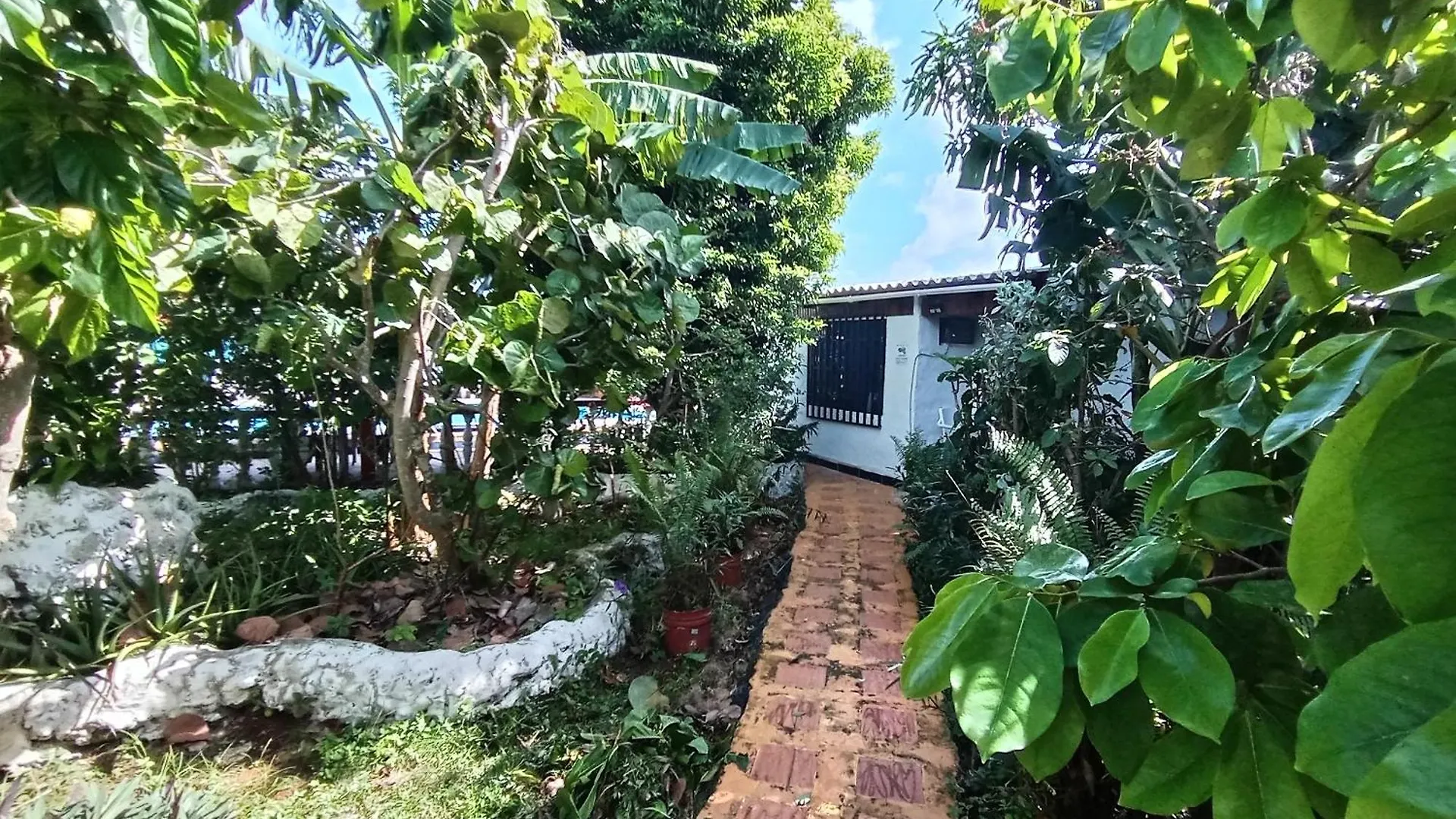 Hospedaje Turistico Angula Place San Andres  Apartment San Andres (San Andres and Providencia Islands)
