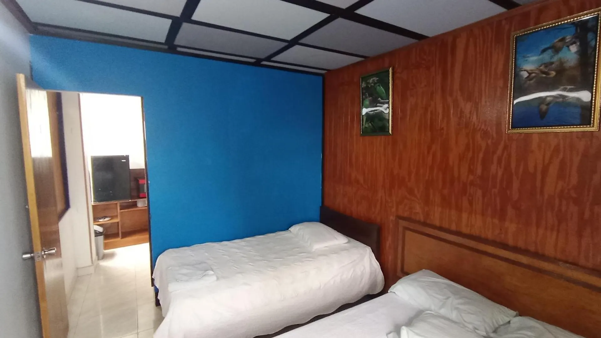 Hospedaje Turistico Angula Place San Andres  0*, San Andres (San Andres and Providencia Islands)